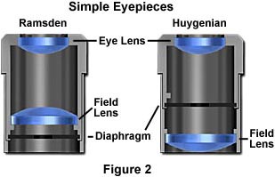 光学显微镜的目镜和结构