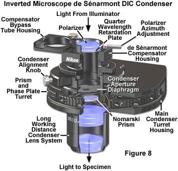 DIC微分干涉相差显微镜常用配置及介绍