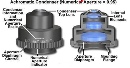 显微镜聚光镜的主要作用