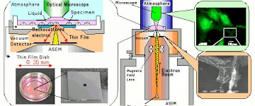 JEOL 新推出环境电子显微镜JASM-6200